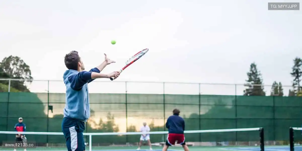 精彩纷呈，视界无限！🎥✨